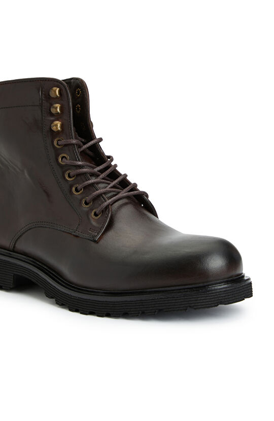 Kahverengi Erkek Deri Postal Bot